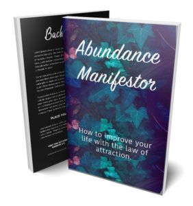  Abundance Manifestor e-cover