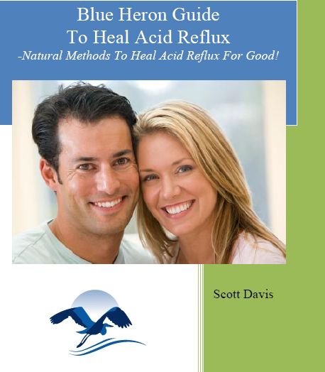 The Acid Reflux Strategy e-cover