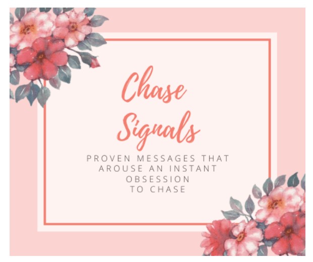 chase signals book cover